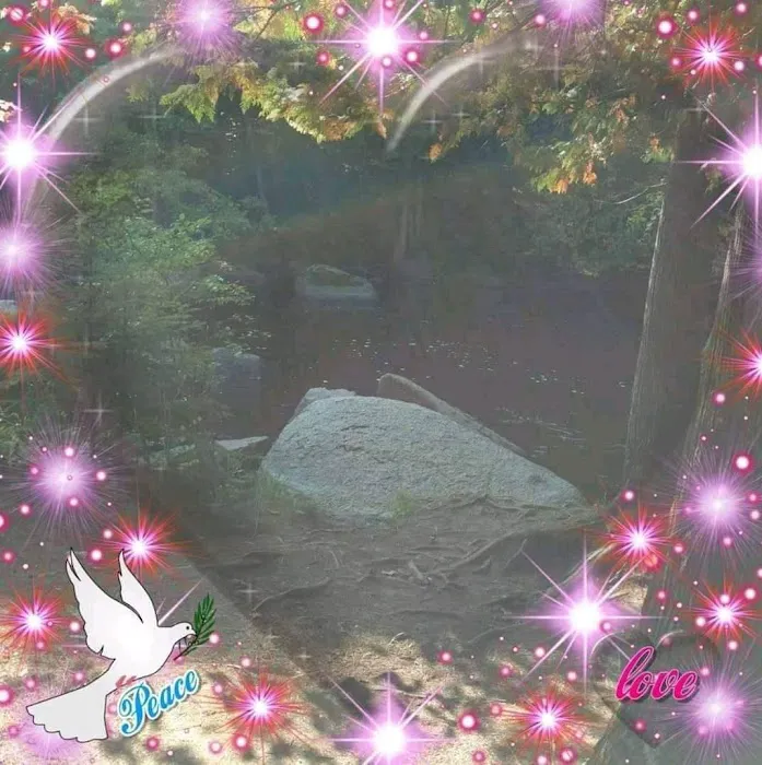 McClintock Campground Picture 10