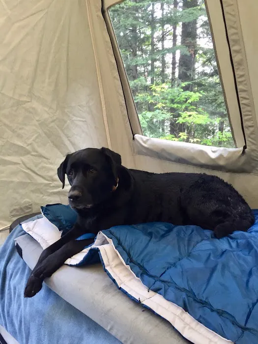 Bear Lake Campground Picture 8