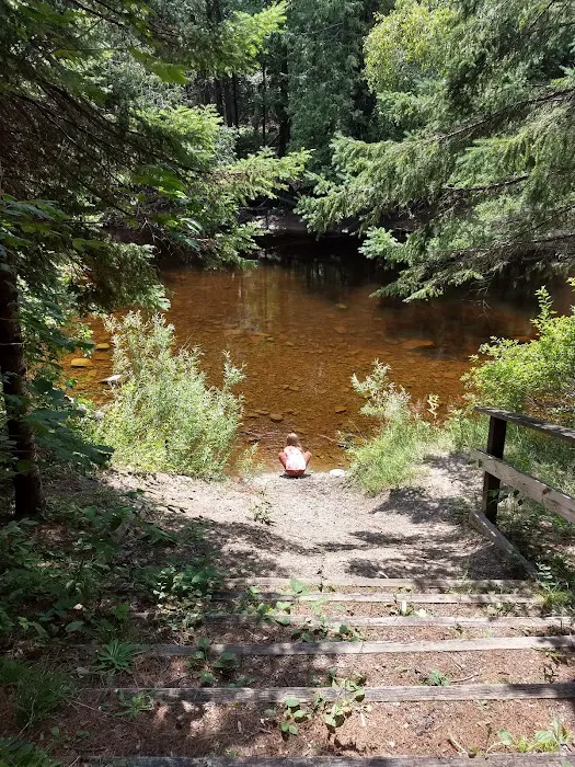 Cedar River North State Forest Campground Picture 4