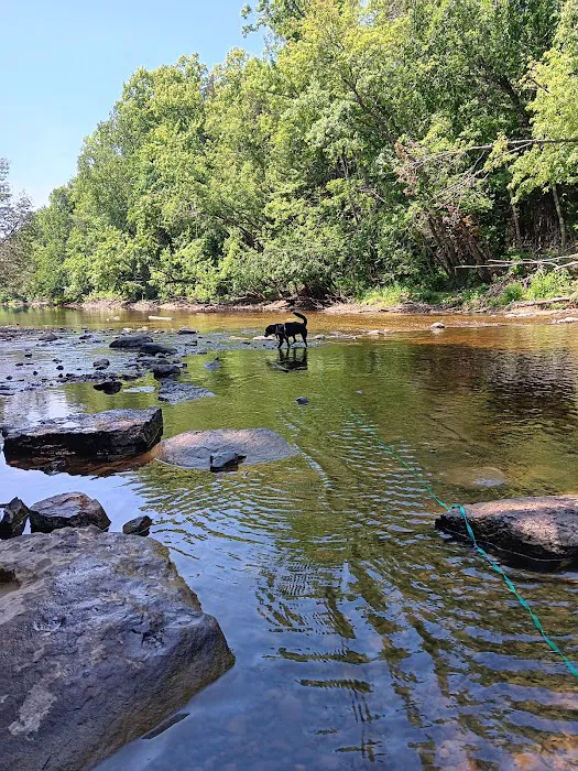 Cedar River North State Forest Campground Picture 5