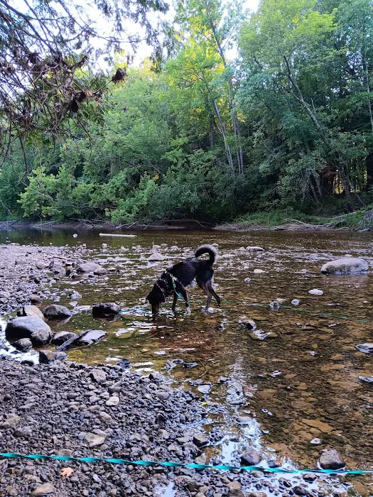 Cedar River North State Forest Campground Picture 9