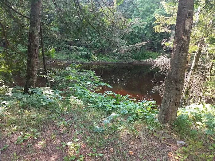 Cedar River North State Forest Campground Picture 1