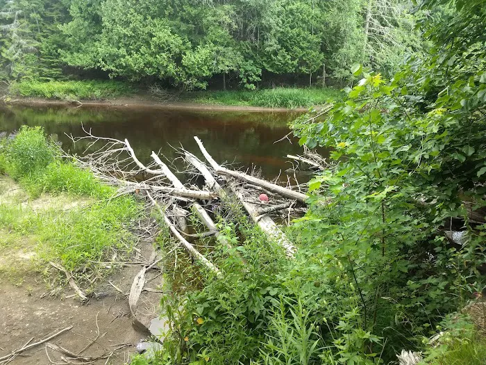 Cedar River North State Forest Campground Picture 2