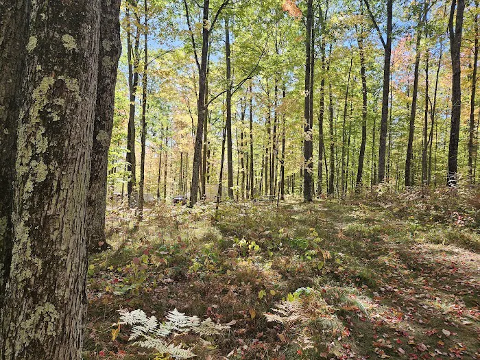 Chalk Hills Campground Picture 7