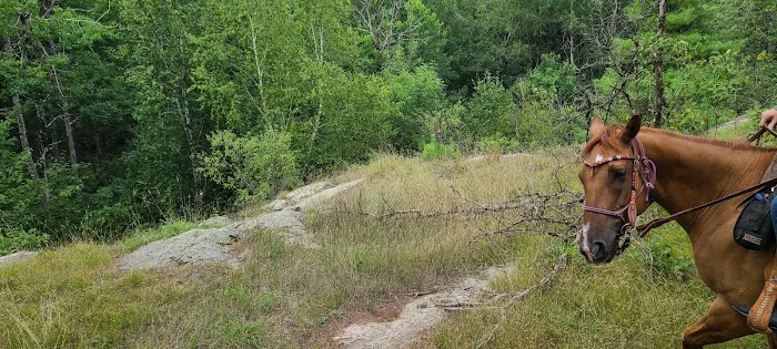 Horseshoe falls equine campground. Picture 9