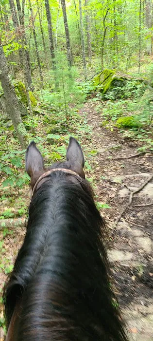 Horseshoe falls equine campground. Picture 6
