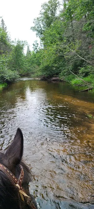 Horseshoe falls equine campground. Picture 5
