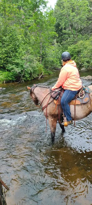 Horseshoe falls equine campground. Picture 1