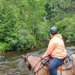 Horseshoe falls equine campground.