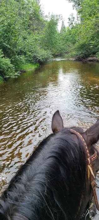 Horseshoe falls equine campground. Picture 3