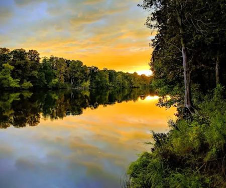 Sturgeon Bend Campground