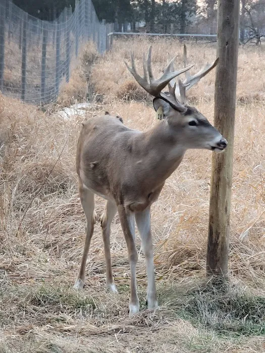 Chapman Lake Campgrounds(Showers) Picture 10