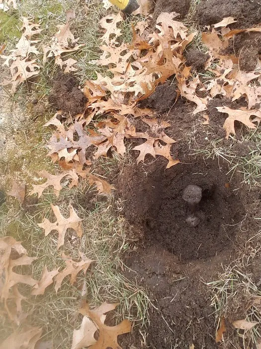 Sandy Hill Campground Picture 7