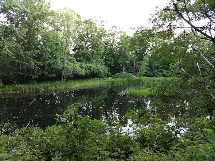 Sandy Hill Campground Picture 9