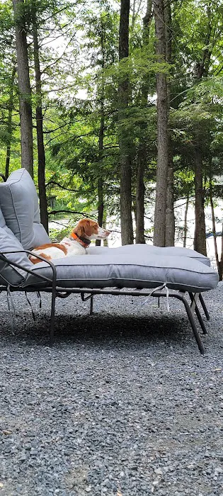 Cedar Ridge Campground Picture 7