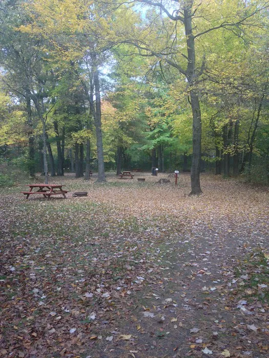 Pine Harbor Campground Picture 7