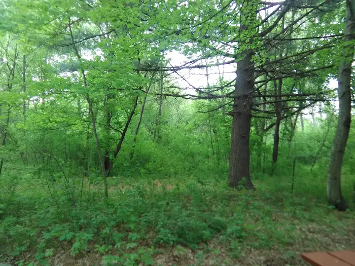 Pine Harbor Campground Picture 5