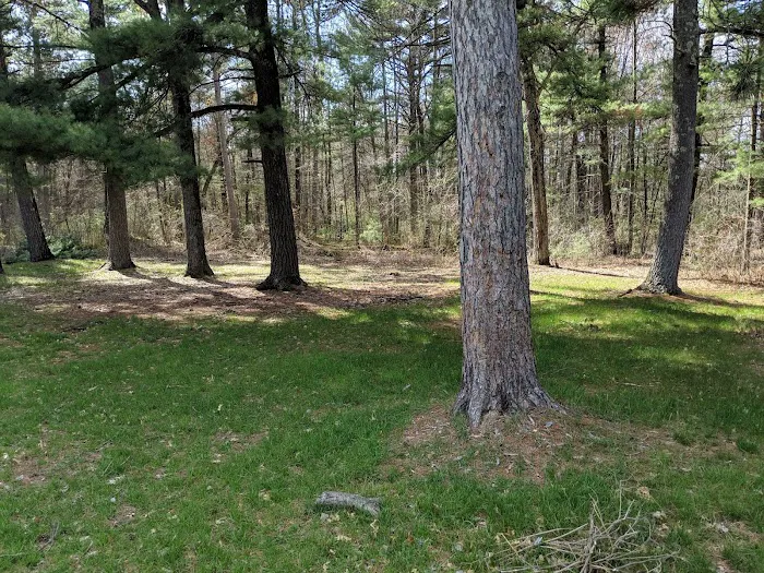 Group Campground Picture 9