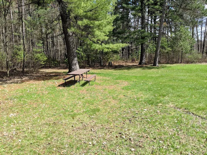 Group Campground Picture 8