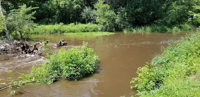 Duncan Creek Campground Picture 4