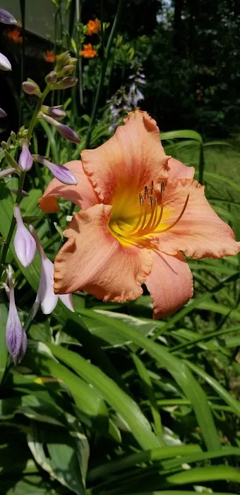 Duncan Creek Campground Picture 1