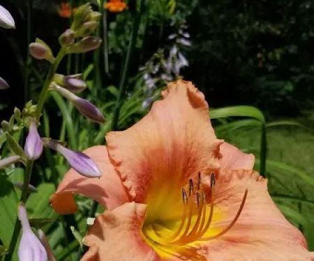 Duncan Creek Campground