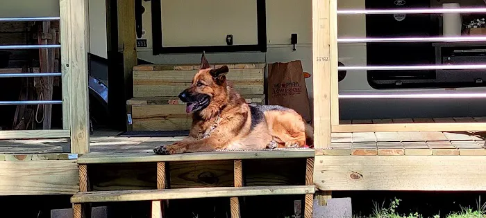 Duncan Creek Campground Picture 8