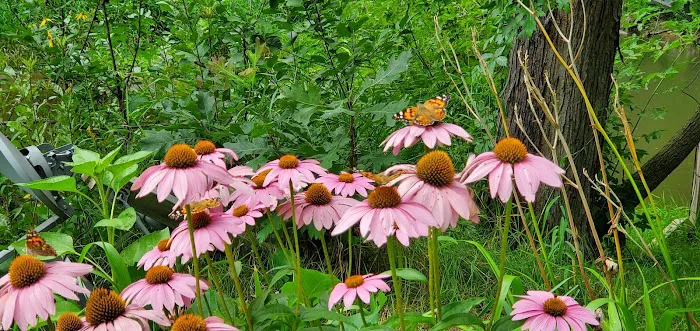 Duncan Creek Campground Picture 3