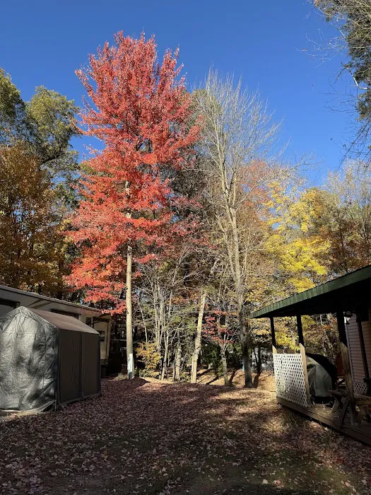 O'Neil Creek Campground Picture 2