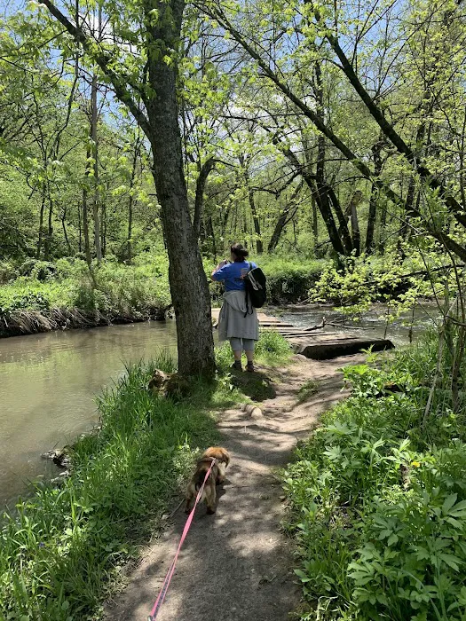 Carley State Park Campground Picture 4