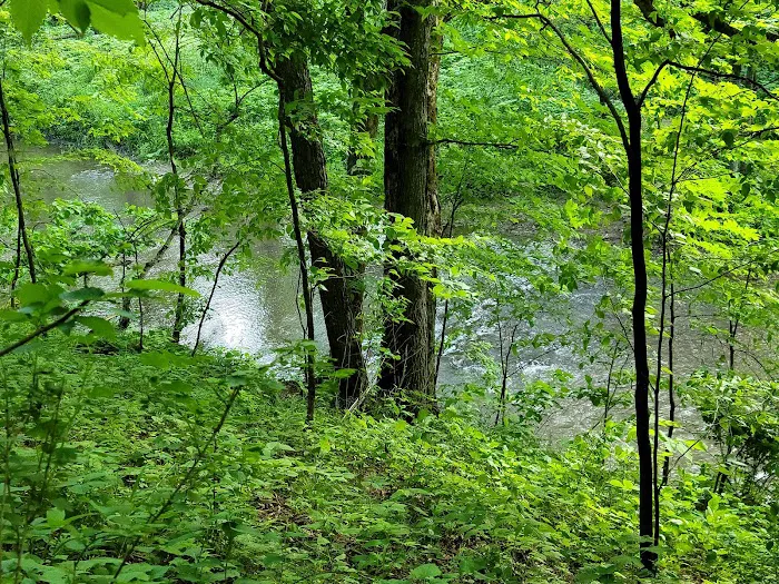 Carley State Park Campground Picture 1