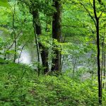 Carley State Park Campground