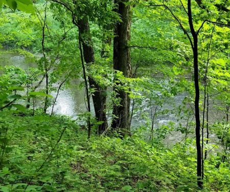 Carley State Park Campground