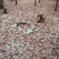 #7 White Oak camp site ico