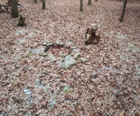 #7 White Oak camp site