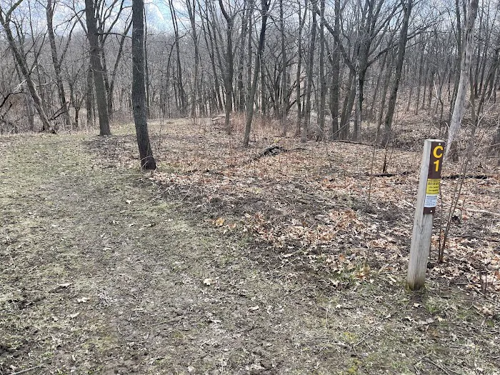 Cart-in Campground Picture 8