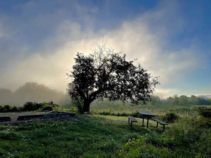 Frontenac State Park Campground Picture 4