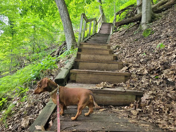 Frontenac State Park Campground Picture 5