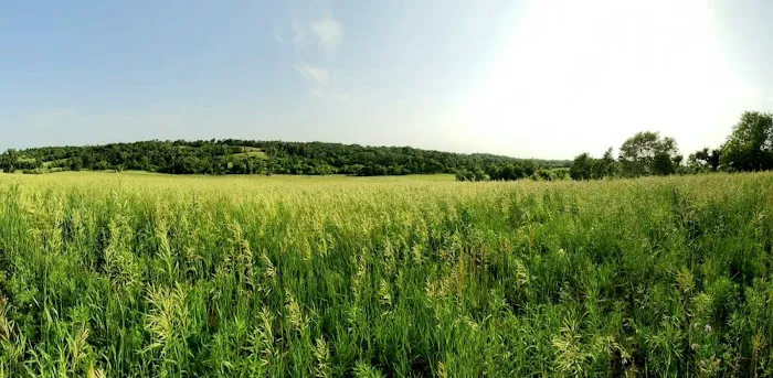 Rusty Ridge Campground Picture 3