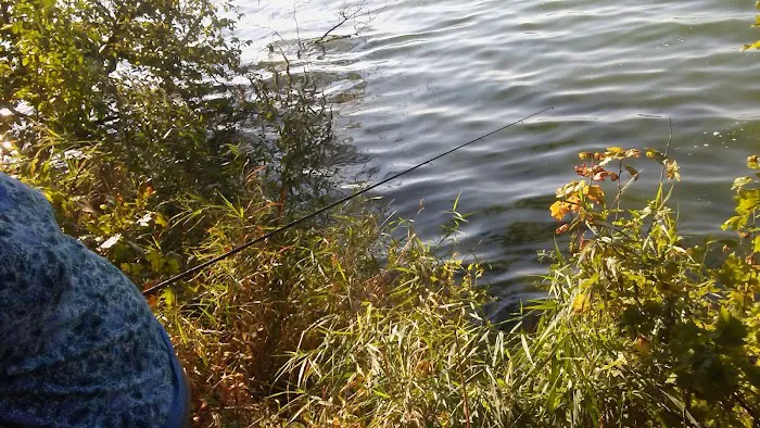 Silver Lake County Park Picture 4