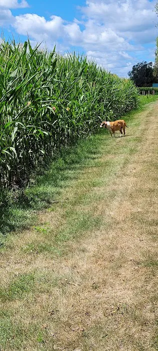 Three Fingers Campground Picture 8