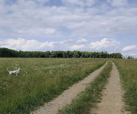 Crandon Country Camping - Hilltop Meadow