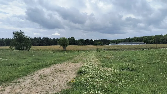 Crandon Country Camping Picture 2