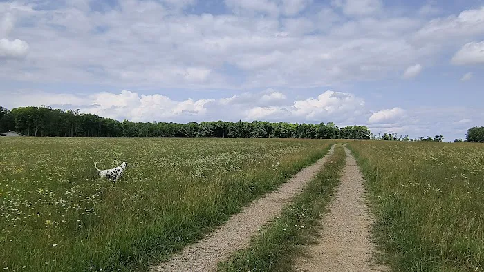 Crandon Country Camping Picture 4