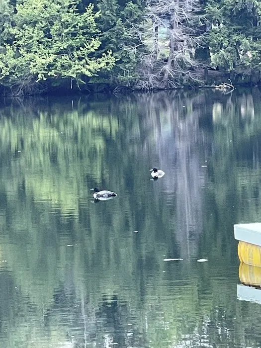 Ham Lake Campground Picture 1