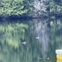 Ham Lake Campground ico