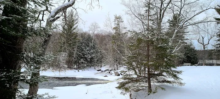 Goodman Park Campground Picture 8