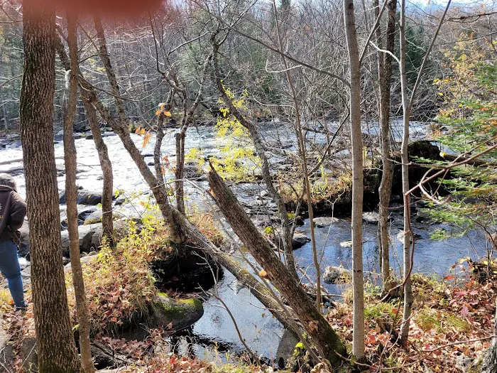 Goodman Park Campground Picture 10