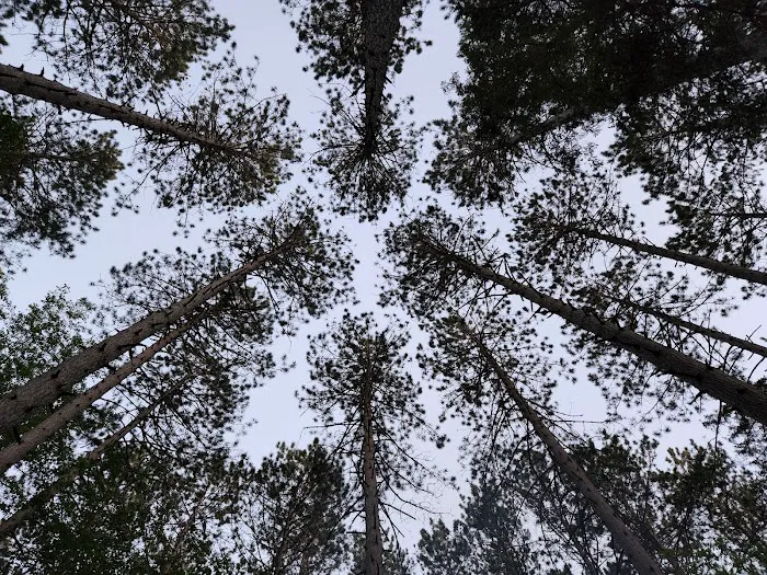 Goodman Park Campground Picture 9