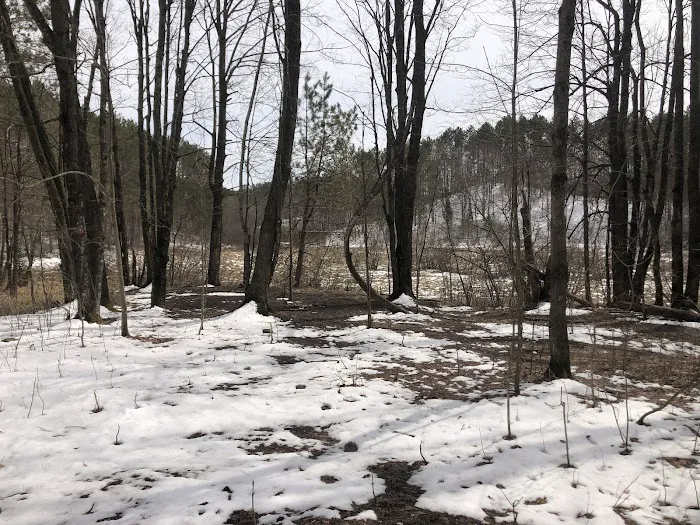 Lady of the Lake Picture 1